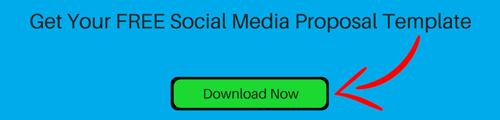 Social Media Proposal Template Download