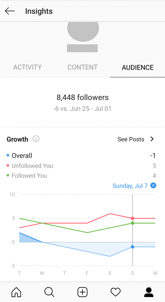 instagram insights - audience insights