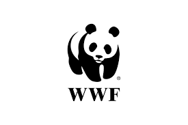 WWF - Keyhole Influencer Marketing- Clients